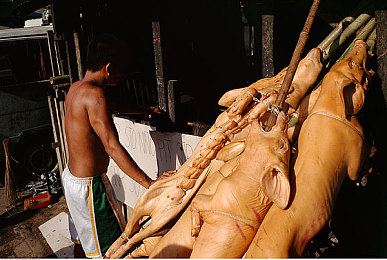 亚洲一区在:极速霓虹,东方赛道风云争霸录-3