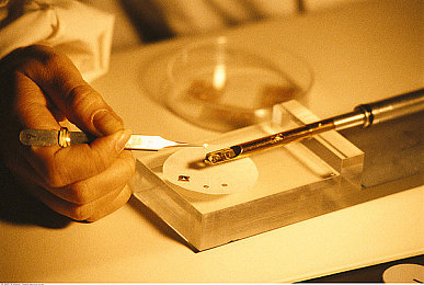 国精产品一区二区三区黑：赛车段位全解析，从入门到隐藏传奇的终极进阶指南-2