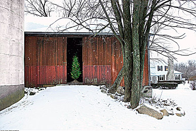 91黑料曝光:赛车游戏隐藏机制揭秘,职业玩家的应对策略公开-2