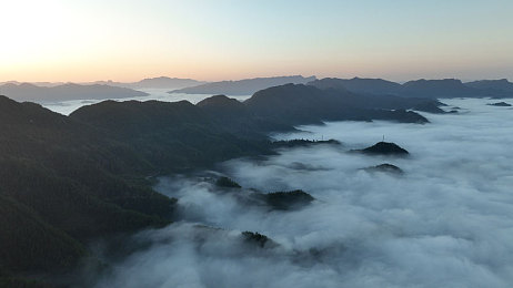 黄色软件下载安装OPPO：科技美学与极速梦想，打造专属品牌赛车涂装-2