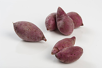 妈妈和小孩小马拉大车视频的背景介绍：亲子合作驾驶新游上线，体验真实货运与家庭默契挑战-5