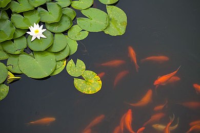 黄色软件库：墨西哥地平线上的色彩艺术收藏录-3