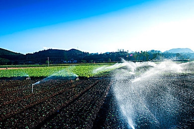 激情五月天丁香花:极速飞驰,虚拟旷野的春日芬芳巡礼-2