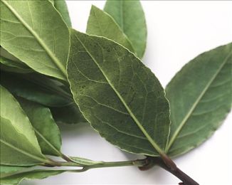 男同调教：双人调校革新赛车游戏，深度协作驱动极速冠军之路-2