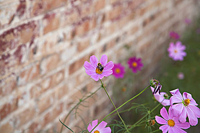 水野朝阳拍爱情片都有什么名子：极速赛道交织心动旅程，体验竞速恋爱双重魅力-3