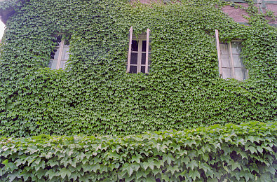 好色先生TV污：霓虹都市极速狂飙，复古未来改装盛宴-3