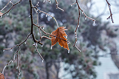 姬小满眼流泪红脸翻白眼咬铁球：钢铁意志，淬炼毫厘之间的极速艺术