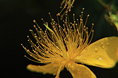 国产成人AV影院：极光引擎打造虚拟驾驶殿堂，华夏名车定制竞速新纪元-2