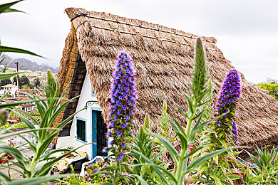 黄色软件OPPO免费下载：霓虹都市极速狂飙，移动赛车新作免费畅玩攻略