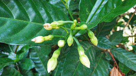 精东九一:极速美学新标杆,东方赛道哲学今日震撼上线-2