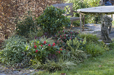 打扑克又叫又痛下载：极速牌局，狂飙与谋略的双重奏鸣-4