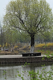 蜜桃女AV：虚拟偶像赛道协奏，情感引擎极速共鸣-3