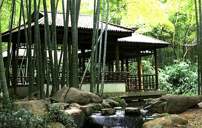 亚洲在线一区二：都市极速风云今日上线，双区赛道揭秘晋级攻略-4