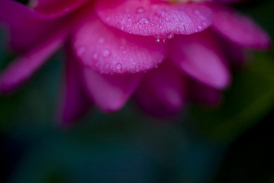 男人插女人的软件：《极速搭档》双人竞速新纪元，默契穿插共夺冠军-5