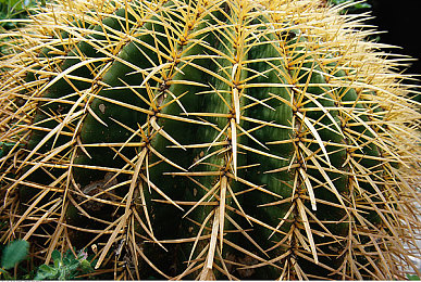 一性_一交一做一爱:极速狂飙,与你的钢铁伙伴共赴灵魂之旅-4