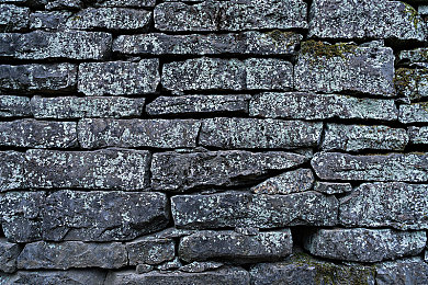 一区二区韩国:竞速世界分区探秘,不同服务器的驾驶风格与进阶攻略-3