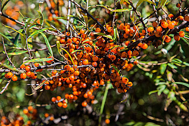 亚精一区二区：驾驭赛道节奏，解锁弯道操控的终极哲学-4