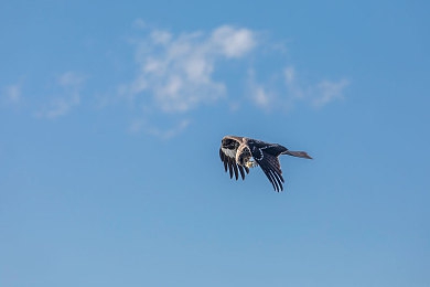 色大师看片:视觉赛道,色彩狂飙的竞速密码-3
