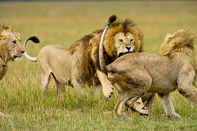 台北网红娜娜被困滚筒洗衣机：极速逃脱机械迷宫，赛车手挑战动态滚筒赛道-4