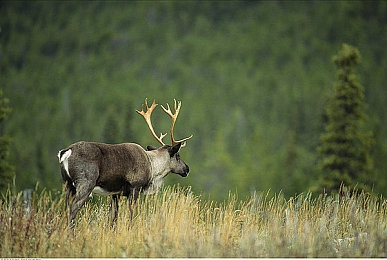 热心的朝阳群众每日大赛：都市车神化身侦探，全新开放世界竞速手游今日引爆街头