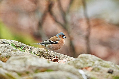 男男网址：双人协作竞速新作，解锁隐藏剧情共赴公路羁绊之旅-3