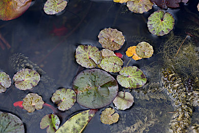 国产性乱伦:家族迷局中的道德抉择,你的选择将重塑亲情与伦理边界-4
