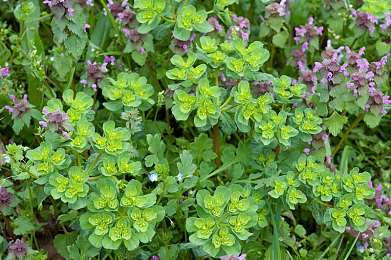 婷婷婷综合网：驾驭三重境界，成为赛道终极掌控者-1