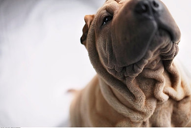 人人干干:当速度拥抱世界,每个方向都是地平线-3