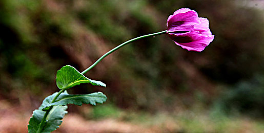 蜜桃影像传媒：驾驭光影，在速度与艺术的边界定格极致瞬间-2