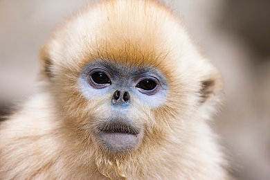 黄色应用下载3.3：落日余晖下的极速狂飙，黄昏赛道艺术之旅-4