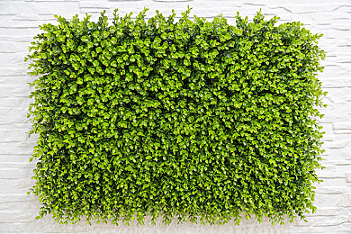 国产对白女主播野战：虚拟竞速新作上线，语音交锋引爆驾驶对决热潮-4