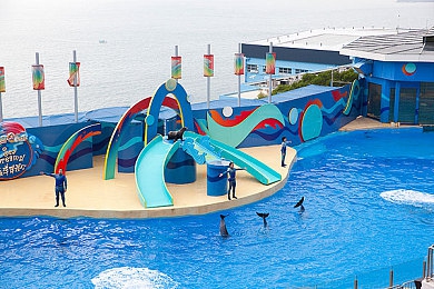 男生插女生下面APP：《地下狂飙》手游深度评测，硬核改装与夜赛玩法引爆竞速新潮流-2