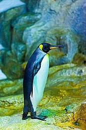 女生让男生诵自己:双人语音领航实战指南,极限竞速地平线5协作玩法深度解析-4