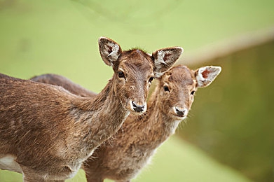 黄软件app下载3.0.3免费装妆2023:《极速改装2023》深度评测,自定义系统与霓虹视觉引爆竞速新潮流-2