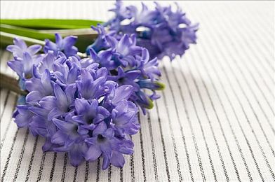 中国自由管剪辑中国的特色及优势：《极速地平线：华夏风云》今日上线，玩家可自由剪辑华夏地貌打造专属赛道-5