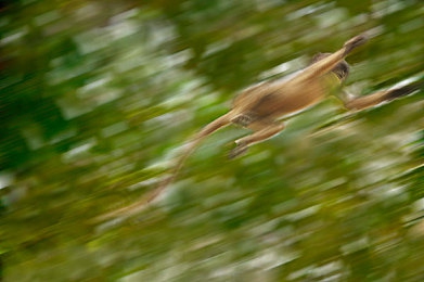 日美3片：竞速无疆，东西方引擎的对话诗篇-3