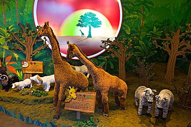 业余 自由 性别 成熟与成熟的表现：驾驭墨西哥画卷，驶入人车合一的竞速艺术之旅