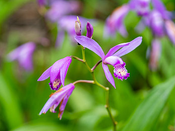 男生对女生做差App：街头竞速新对决，动态评分改写赛车游戏规则-2