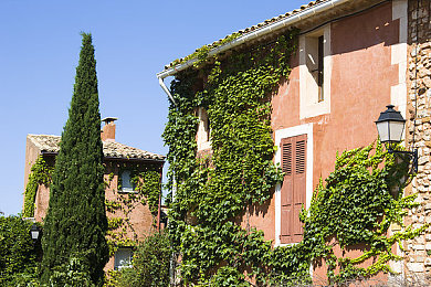 国精产品张津瑜吃瓜:冷静观察伺机而动,赛车游戏高阶战术深度解析-2