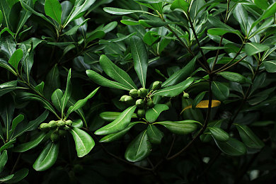 色6969：霓虹都市编程竞速新作发布，改写色彩代码破解驾驶谜题-3