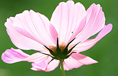 操逼操出软件：驾驭代码征服赛道，体验人车合一的硬核竞速革命-2