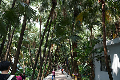 黄软件：极限边缘，规则之外的街头速度艺术-4