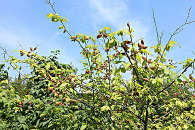 黄色软件无限次3.0：虚拟改装革命降临，霓虹城街头迎来极速狂飙新纪元-3