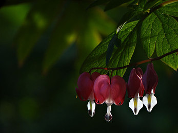 成人国产：硬核驾驶模拟新作都市驭行者今日上线，真实还原中国都市路况-3