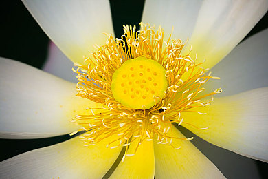 最好看的2019年的中文：驾驭东方神驹，畅游英伦四季竞速之旅