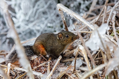 男生和女生一起拆拆塔：双排战术新潮流，王者荣耀拆塔配合的制胜秘诀全解析-2