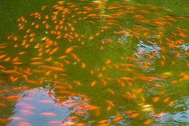 女超人麦乐迪叫什么名字：风驰电掣的化身，在开放世界书写你的极速传奇-3