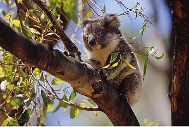 十八大禁止黄色软件:净风系统守护公平竞速,在规则赛道尽享纯粹驾驶乐趣-2