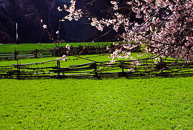 XDEVIOS中文安装：极限驱动纪元，你的车库，你的改装革命-2