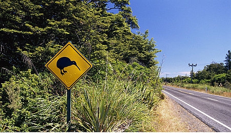 东北农村乱輪：征服极寒雪原，体验硬核货运驾驶的沉浸挑战-2